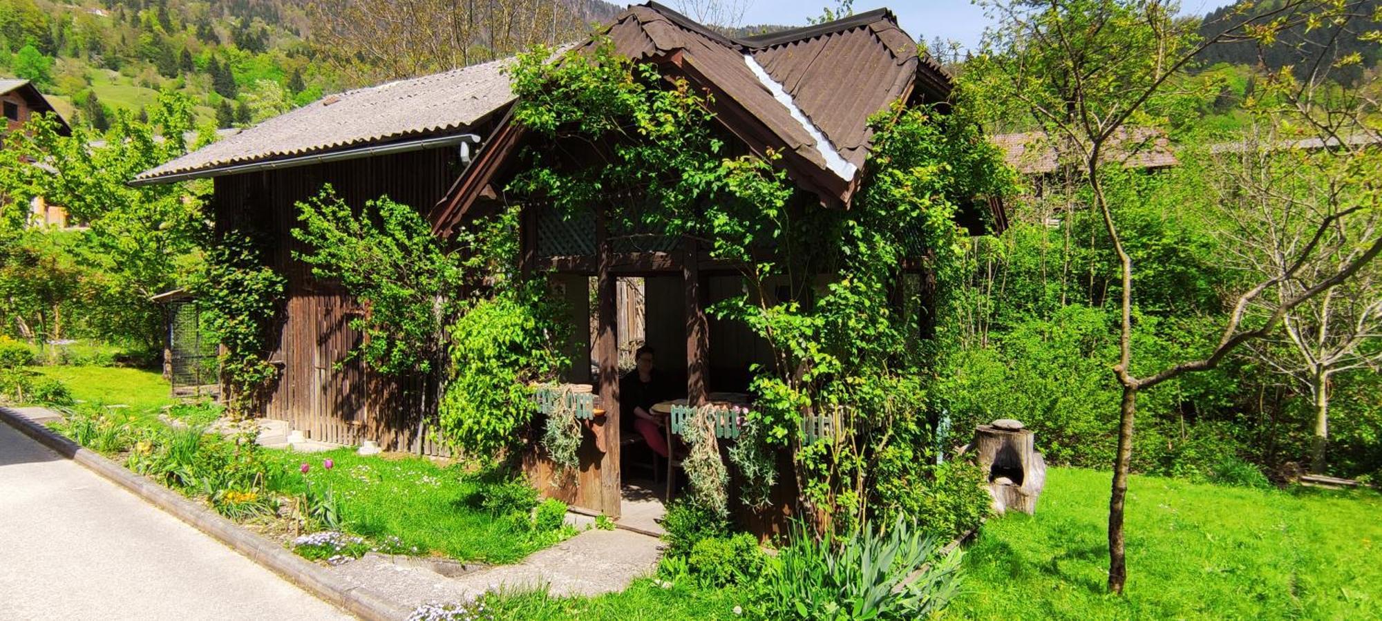 Domacija Markc ゴレンスカ地方 エクステリア 写真